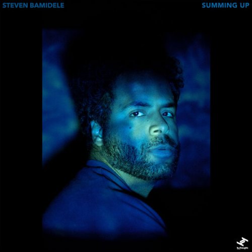 Steven Bamidele - Summing Up (2023)