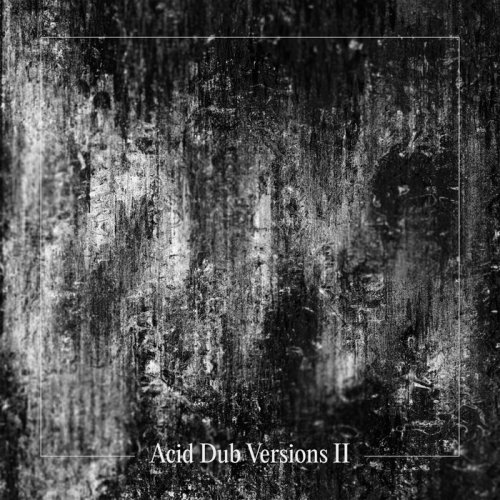 Om Unit - Acid Dub Versions II (2023)