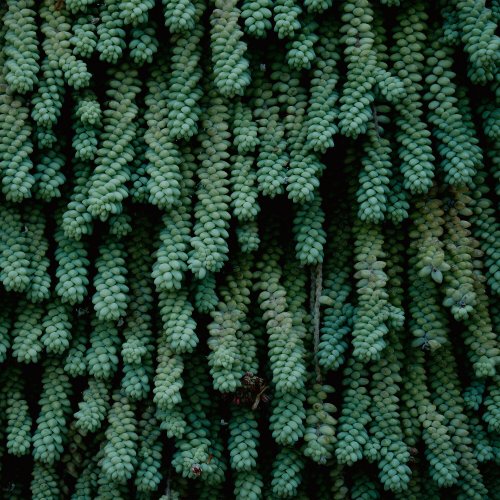 Hank May - Tails (2023) Hi-Res