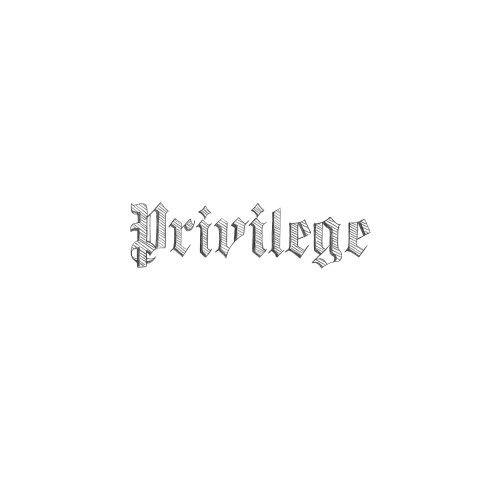 Parenthetical Girls - Privilege (2013)