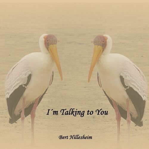Bert Hillesheim - I'm Talking to You (2023)