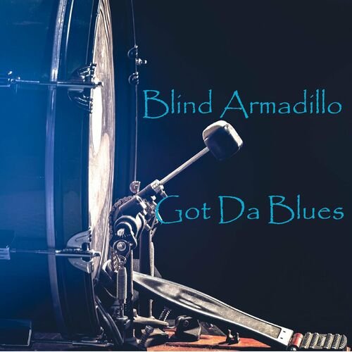 Blind Armadillo - Got da Blues (2023) [Hi-Res]