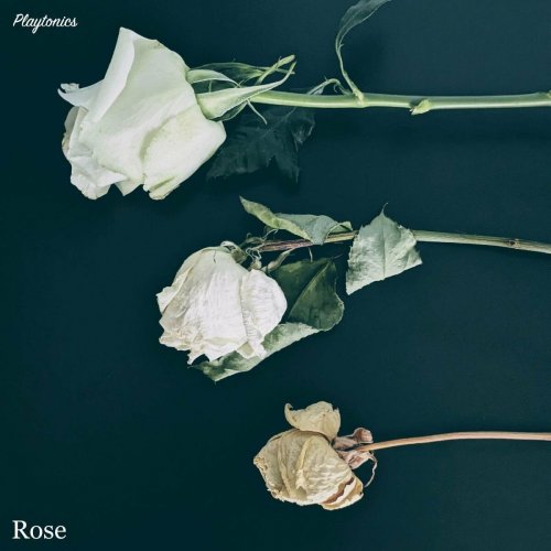 Playtonics - Rose (2023)