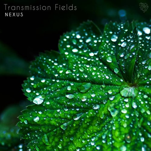 Nexus - Transmission Fields (2023)