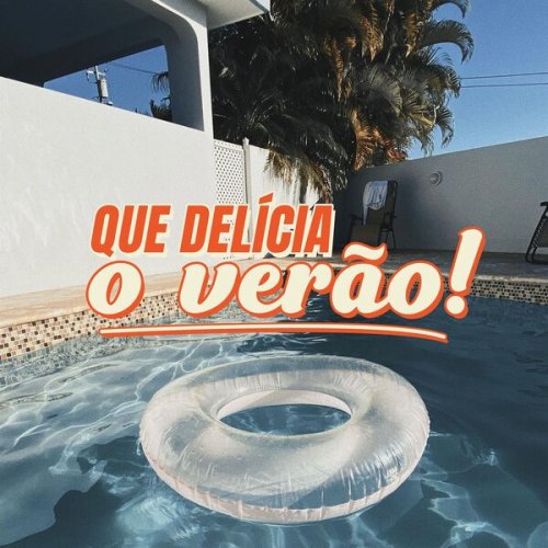 VA - Que delícia o verão! (2023)