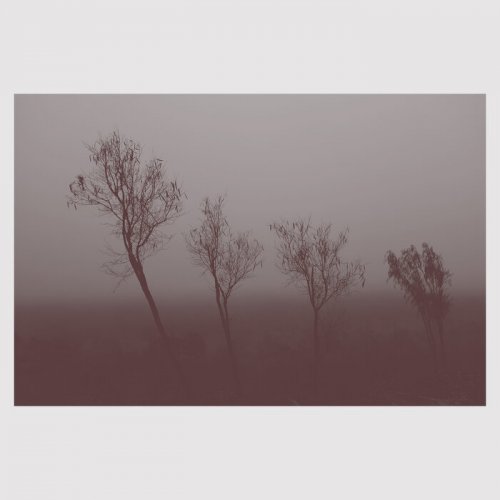Hand To Earth - Mokuy (2023)