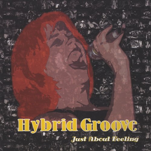 Hybrid Groove - Just About Feeling (2008)