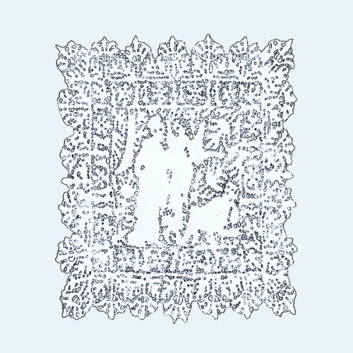 Various Artists - ALWAYS + FOREVER (2023)
