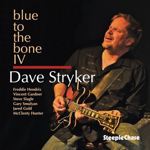 Dave Stryker - Blue To The Bone IV (2013) FLAC