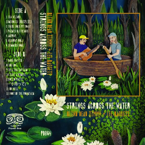 Lee Baggett, Blind Dead Timmy - Strings Across the Water (2023)