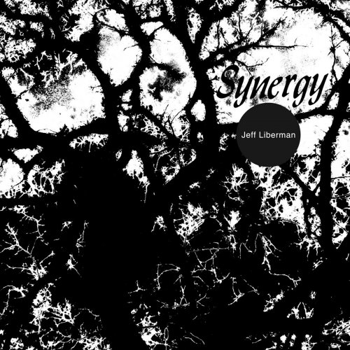 Jeff Liberman - Synergy (2016) [Hi-Res]