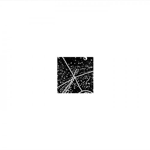 Walter Maioli - SHORTWAVE ENCOUNTERS (2023)