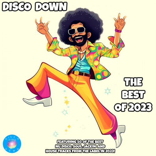 VA - Disco Down The Best of 2023 (2023)