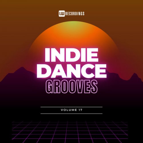 VA - Indie Dance Grooves, Vol. 17 (2024)