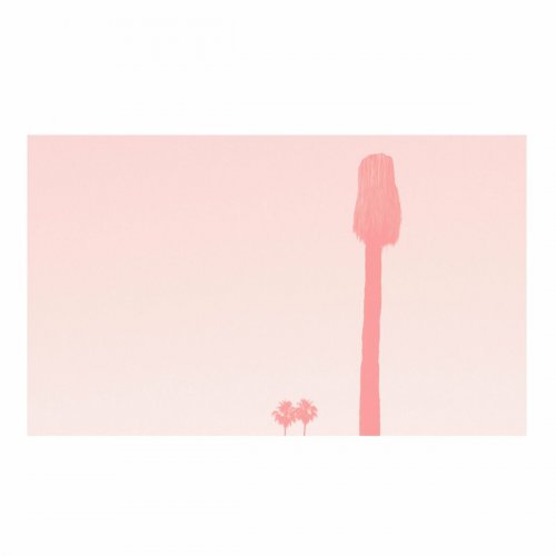 Pinkcourtesyphone - A Ravishment of Mirror (Expanded) (2018)