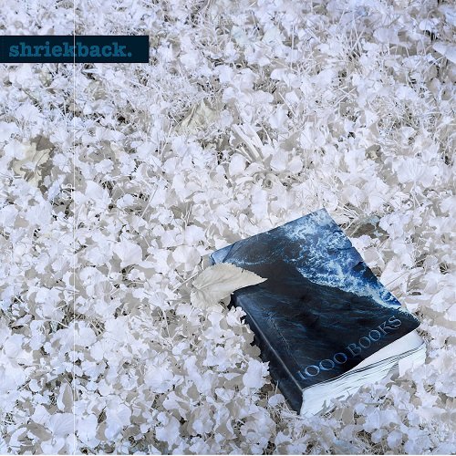 Shriekback - 1000 Books (2021)