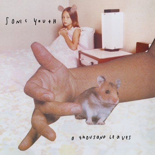 Sonic Youth - A Thousand Leaves (1998) FLAC