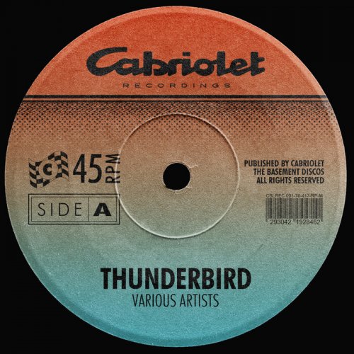 VA - Thunderbird (2024)