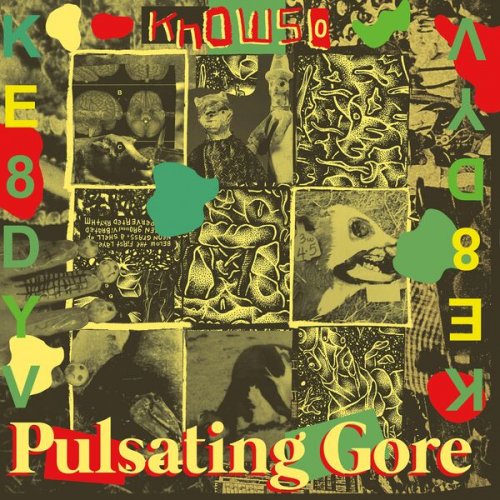 Knowso - Pulsating Gore (2024) Hi-Res