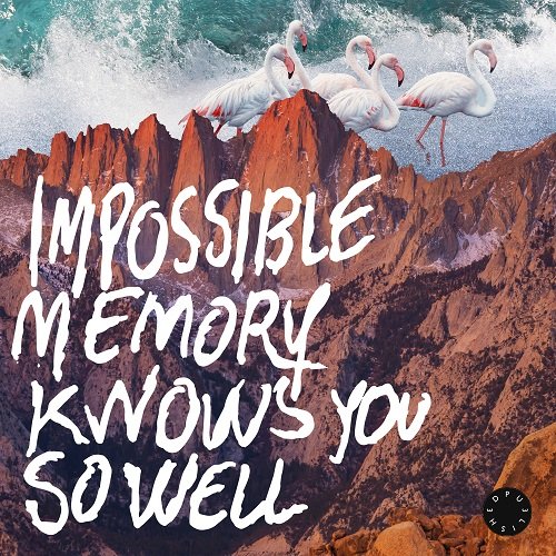 Impossible Memory - Impossible Memory knows you so well (2024) Hi-Res