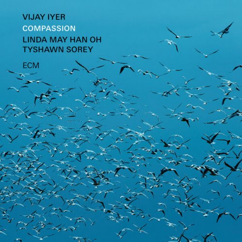Vijay Iyer Trio - Compassion (2024) [Hi-Res]