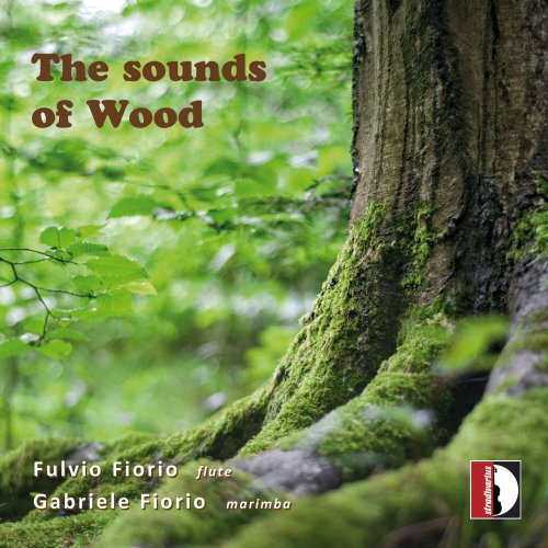 Fulvio Fiorio, Gabriele Fiorio - The Sounds of Wood (2024) [Hi-Res]
