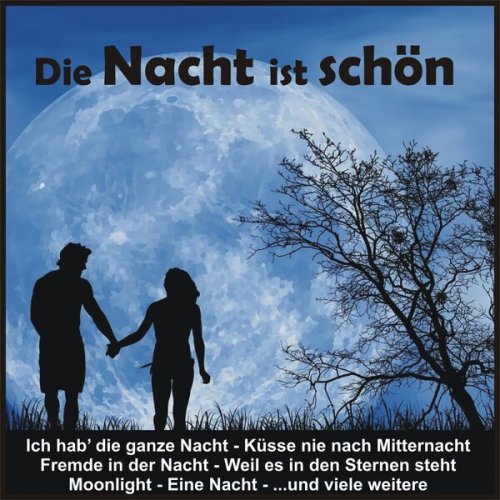 VA - Die Nacht ist schön (2024)