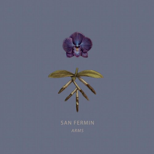 San Fermin - Arms (2024) [Hi-Res]