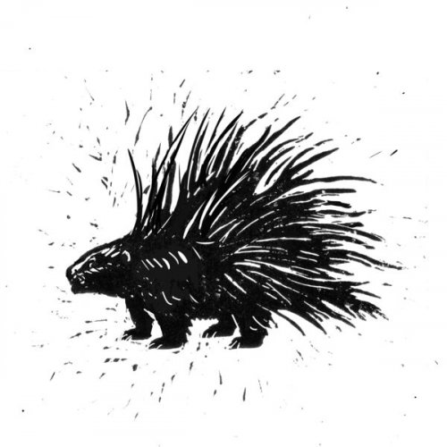 Sean McGovern - Porcupine (2024) [Hi-Res]