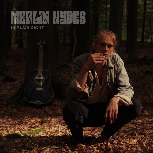 Merlin Hydes - In Plain Sight (2024) Hi-Res