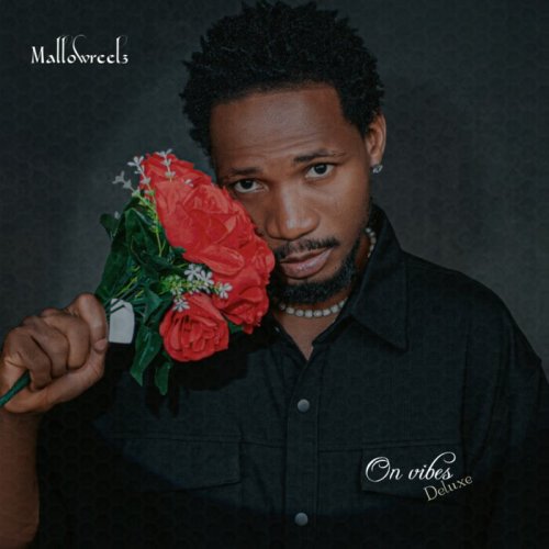 MallowReelz - On Vibes (Deluxe) (2024)