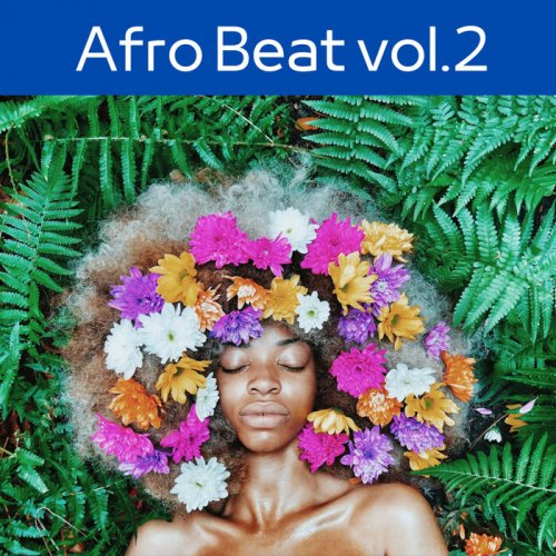 VA - Afro Beat, Vol.2 (2024)