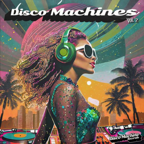 VA - Disco Machines, Vol 2 (2024)