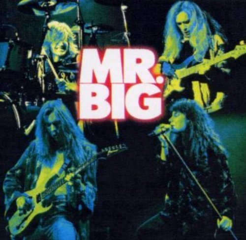 Mr. Big - Discography (1989-2015)