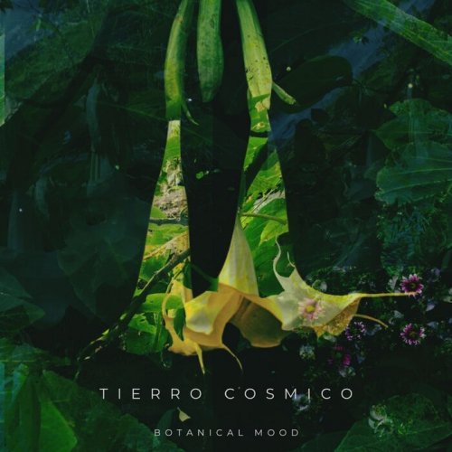 Tierro Cosmico - Botanical Mood (2024)