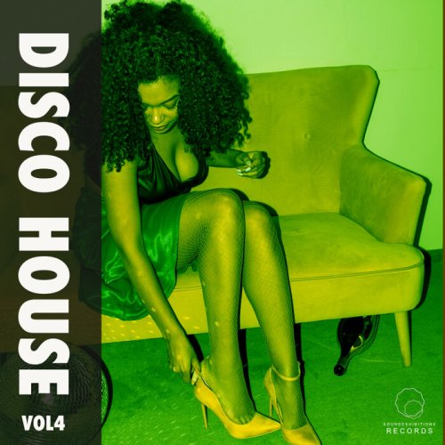 VA - Disco House Vol 4 (2024)