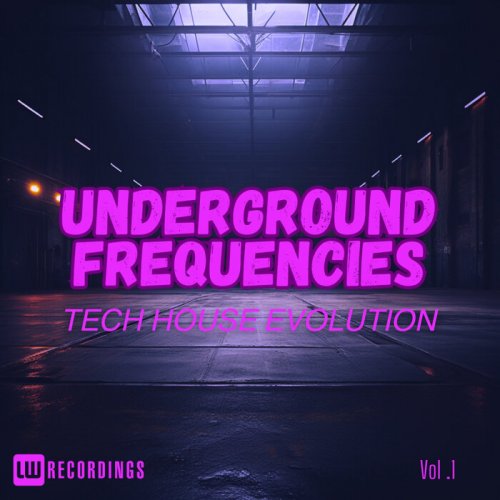 VA - Underground Frequencies: Tech-House Evolution, Vol. 01 (2024) FLAC