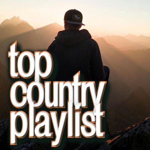 VA - top country playlist (2024)