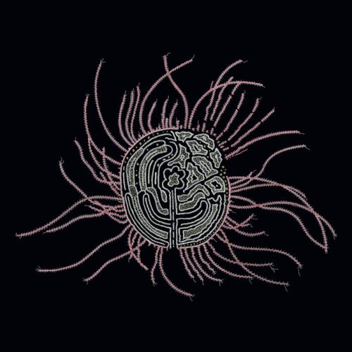 Ka Baird - Bearings: Soundtracks for the Bardos (2024)