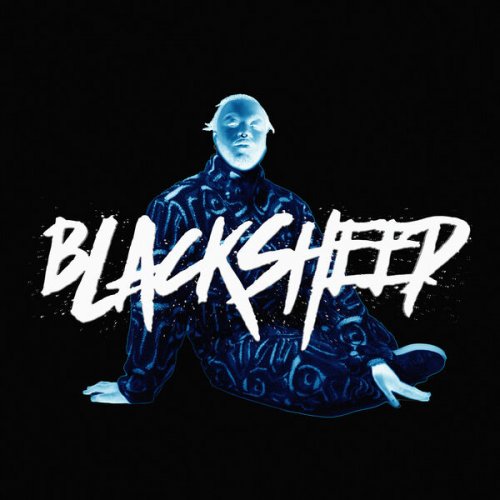 Cakes Da Killa - Black Sheep (2024) Hi-Res