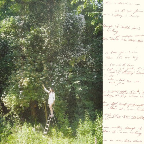 Ivy Falls - Sense & Nonsense (2024) Hi-Res