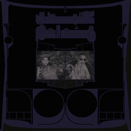 Shabazz Palaces - Exotic Birds of Prey (2024) [Hi-Res]