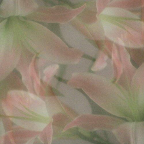 Glowworm - Harvest (2024)