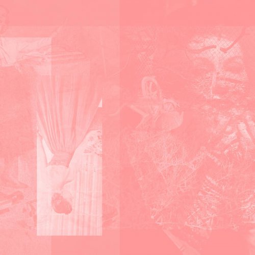 Pinkcourtesyphone - Arise in Sinking Feelings (2024)