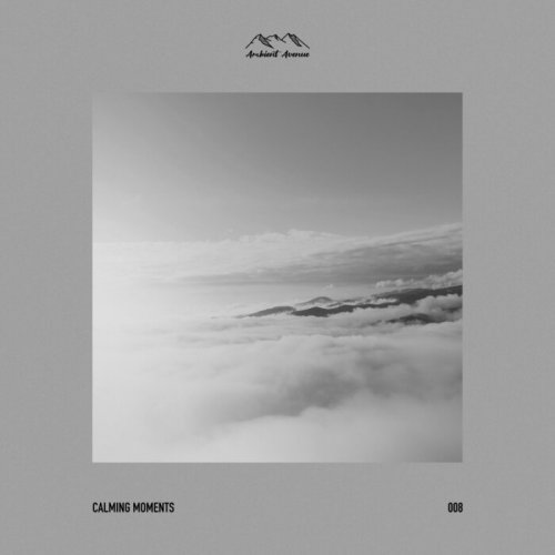 VA - Calming Moments 008 (2024)