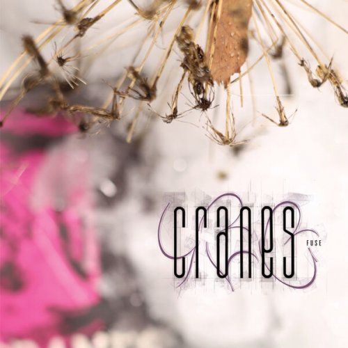Cranes - Fuse (2024) Hi Res
