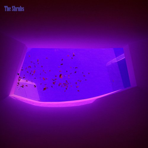 The Shrubs - Echoes of a Dream (2024) [Hi-Res]
