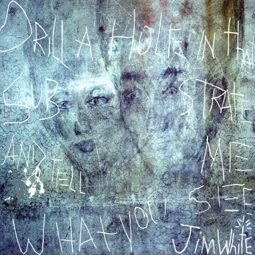 Jim White - Drill a Hole in that Substrate and Tell Me What You See (Deluxe 20th Anniversary Edition) (2024)