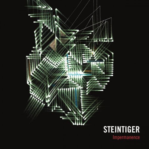 Steintiger - Impermanence (2014)