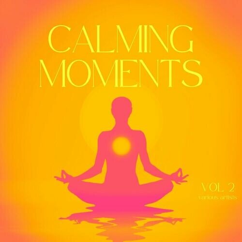 VA - Calming Moments, Vol. 2 (2024)